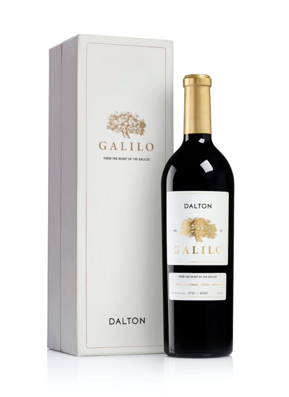 Dalton – Galilo 2019