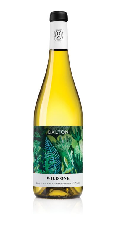 Dalton – Asufa Wild One 2023